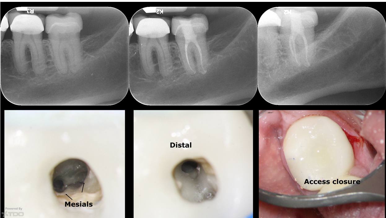 BCCB6877-33DB-4756-813A-1527D8D717F3