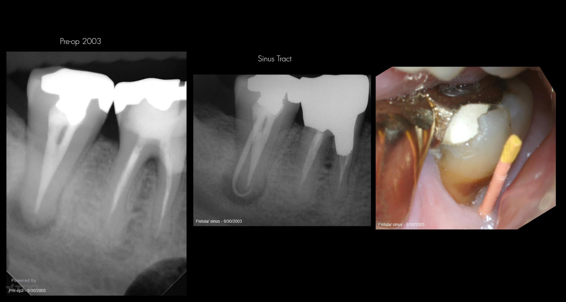 Collage-2140634716-Page00