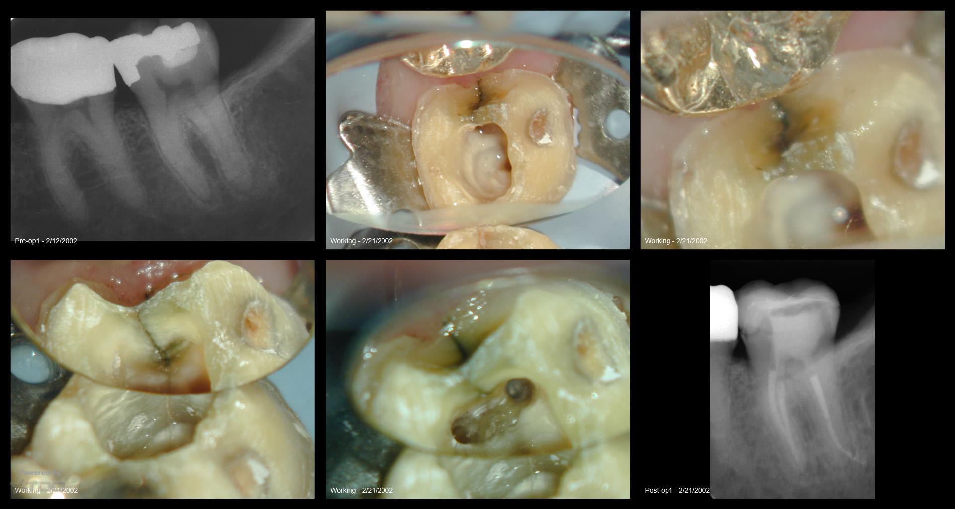 Collage-2140634747-Page00