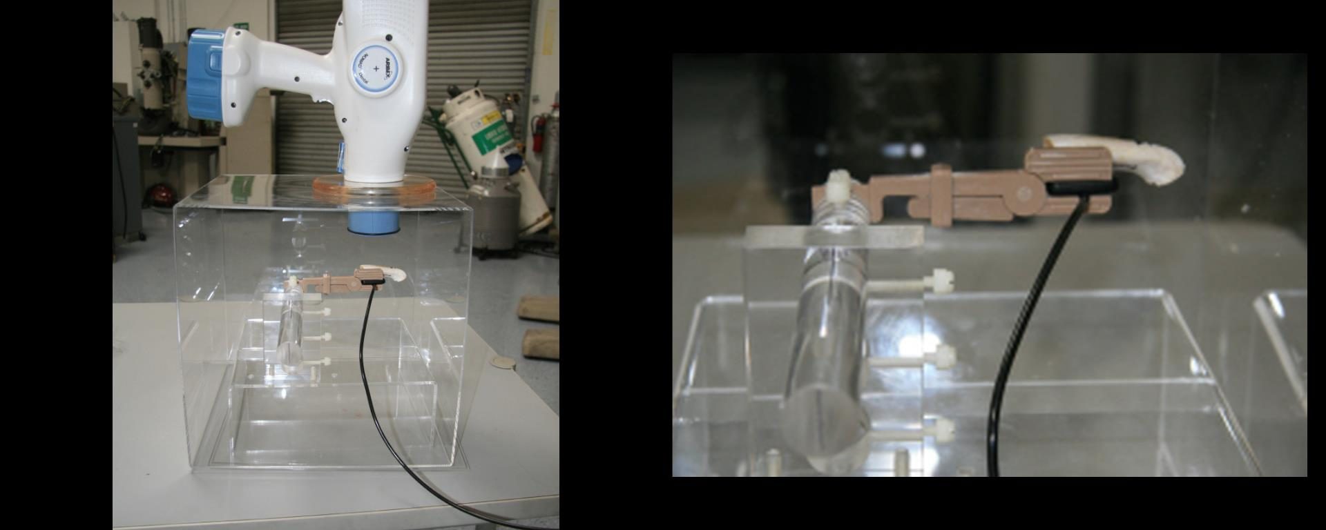 Reproducible Radiographs