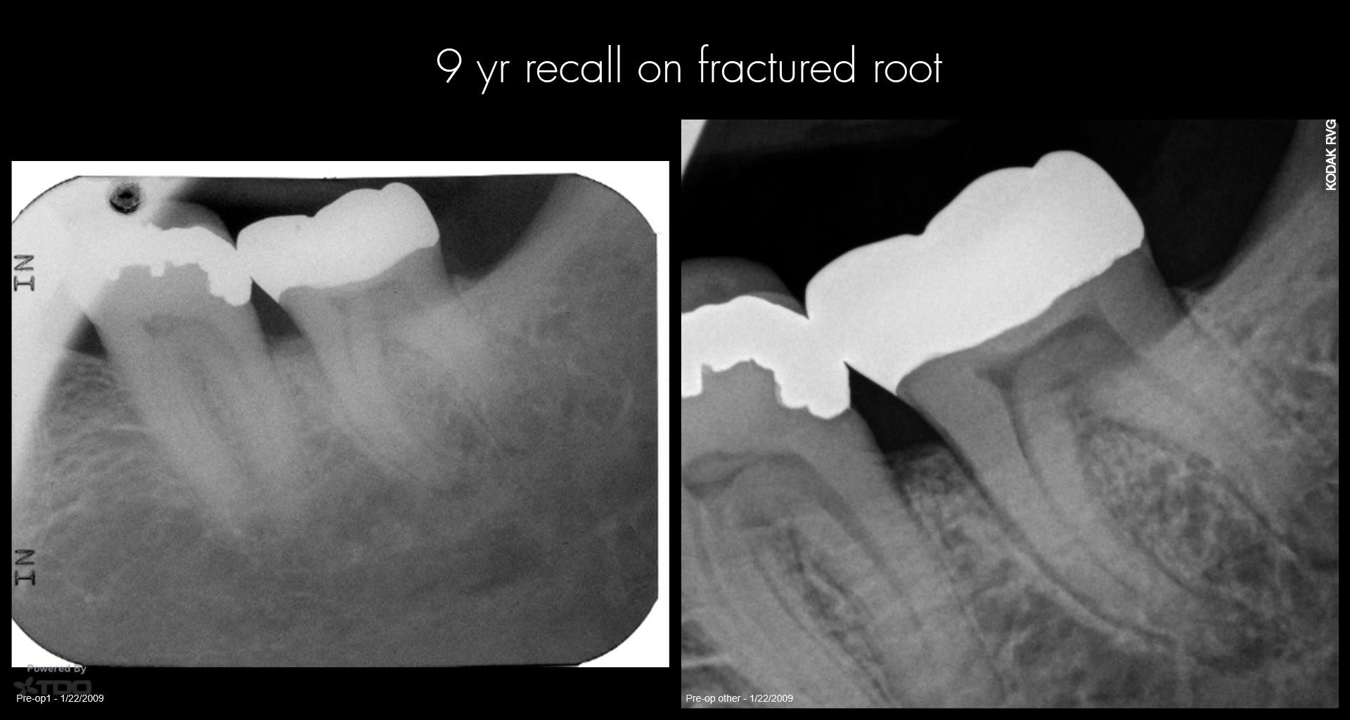 Collage-2140635374-Page00