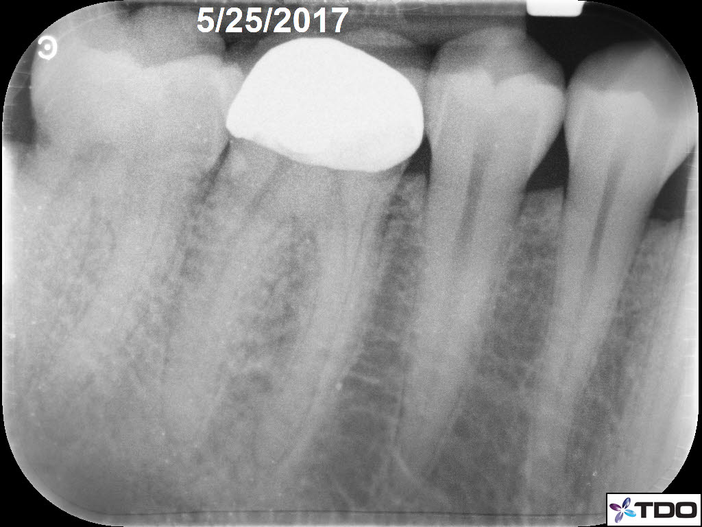 EDF9C661-3EEC-45BF-AC14-D559119A6FCC