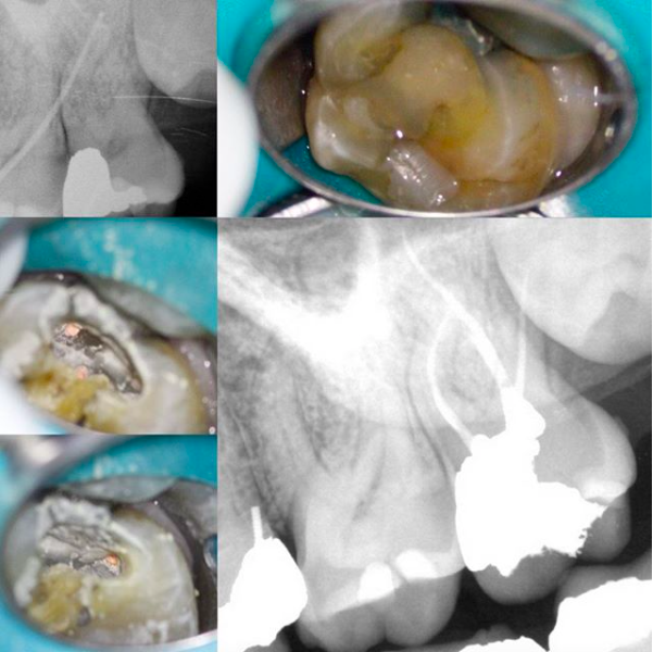 Screen Shot 2018-07-07 at 1.14.11 PM