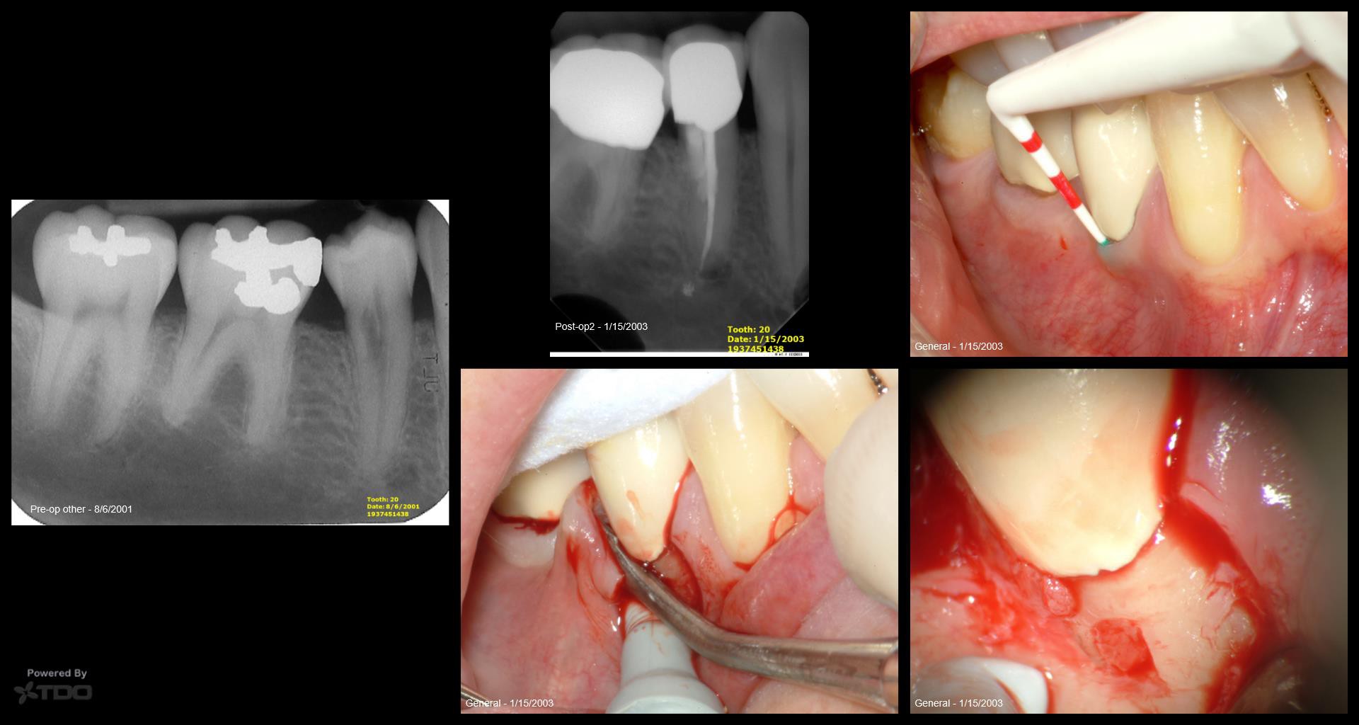 Collage-2140635981-Page00