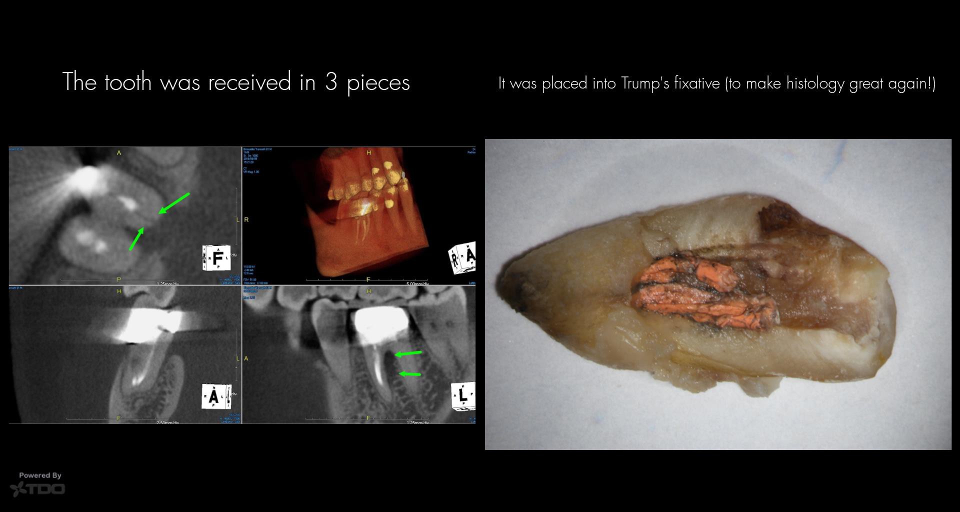 Collage-2140637285-Page00