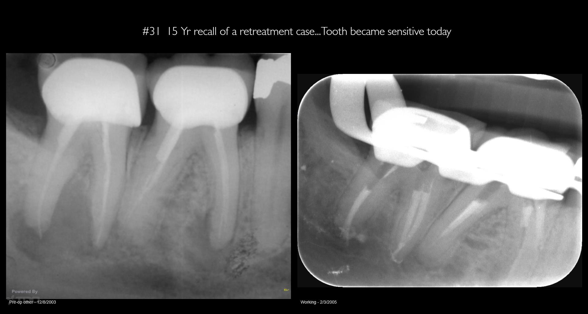 Collage-2140637479-Page00