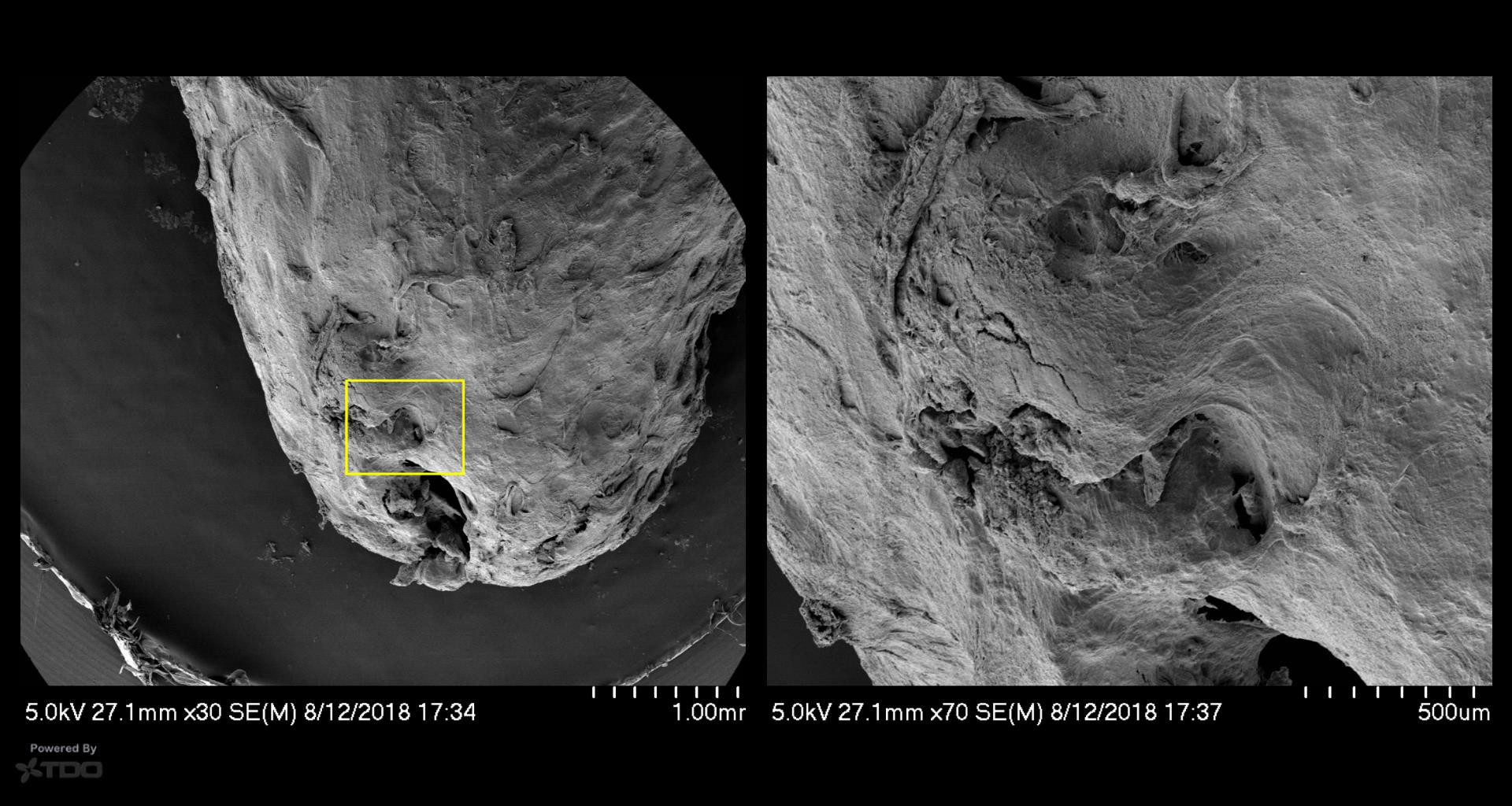 Collage-2140637483-Page00