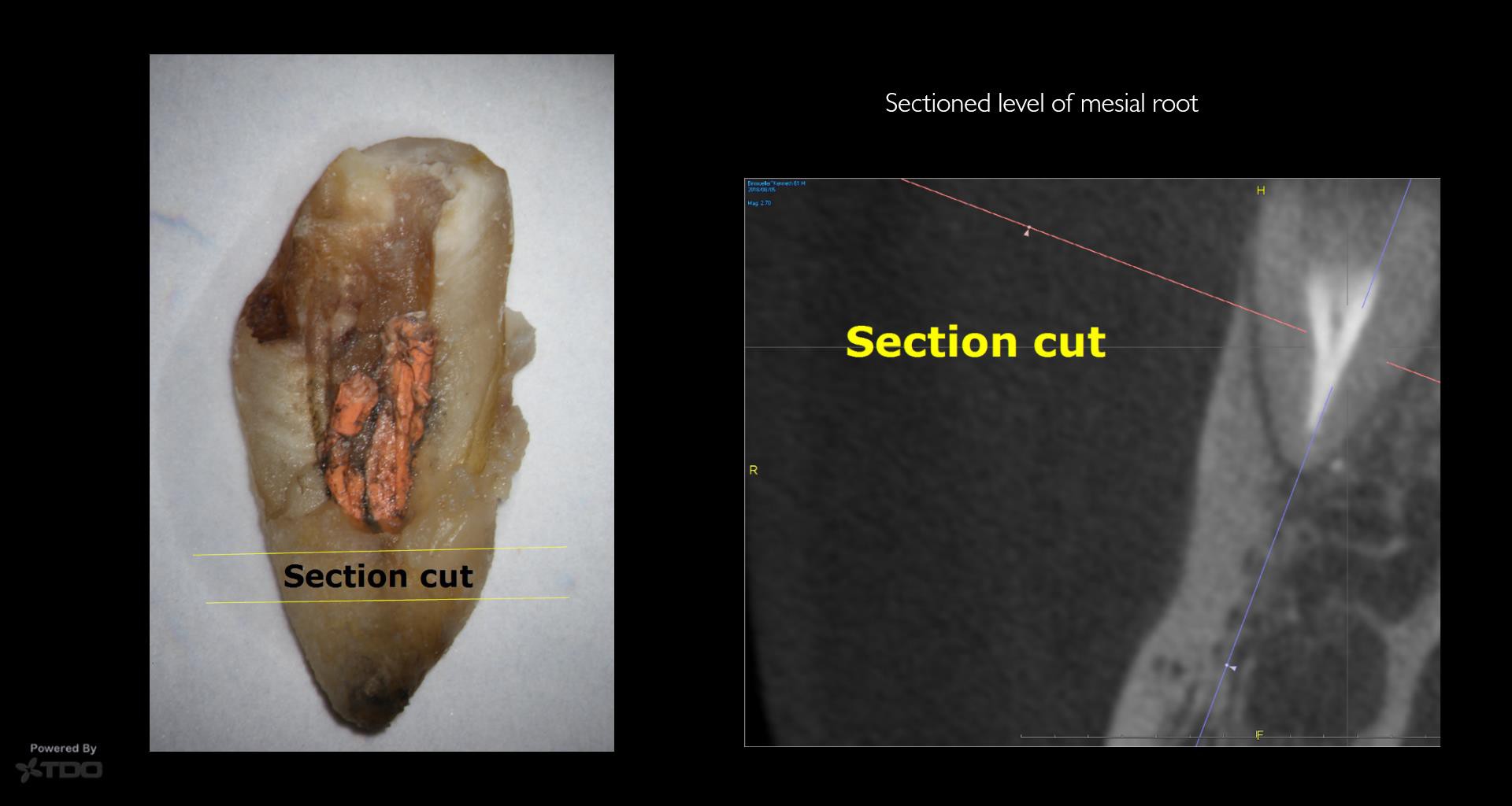 Collage-2140637657-Page00