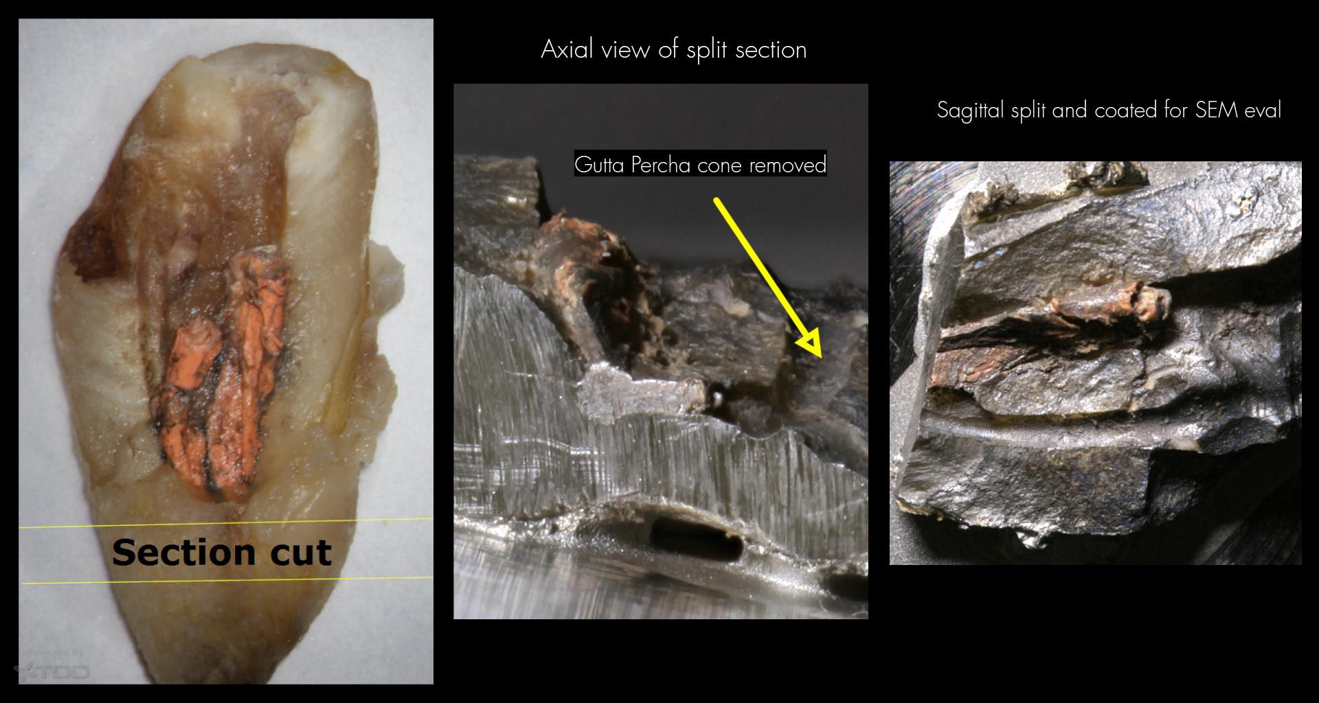 Collage-2140637699-Page00