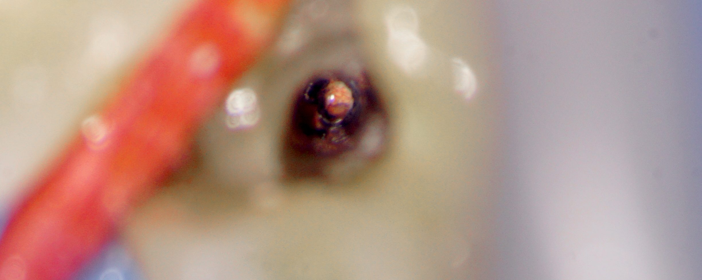 #29 with a deep split in the middle 3rd