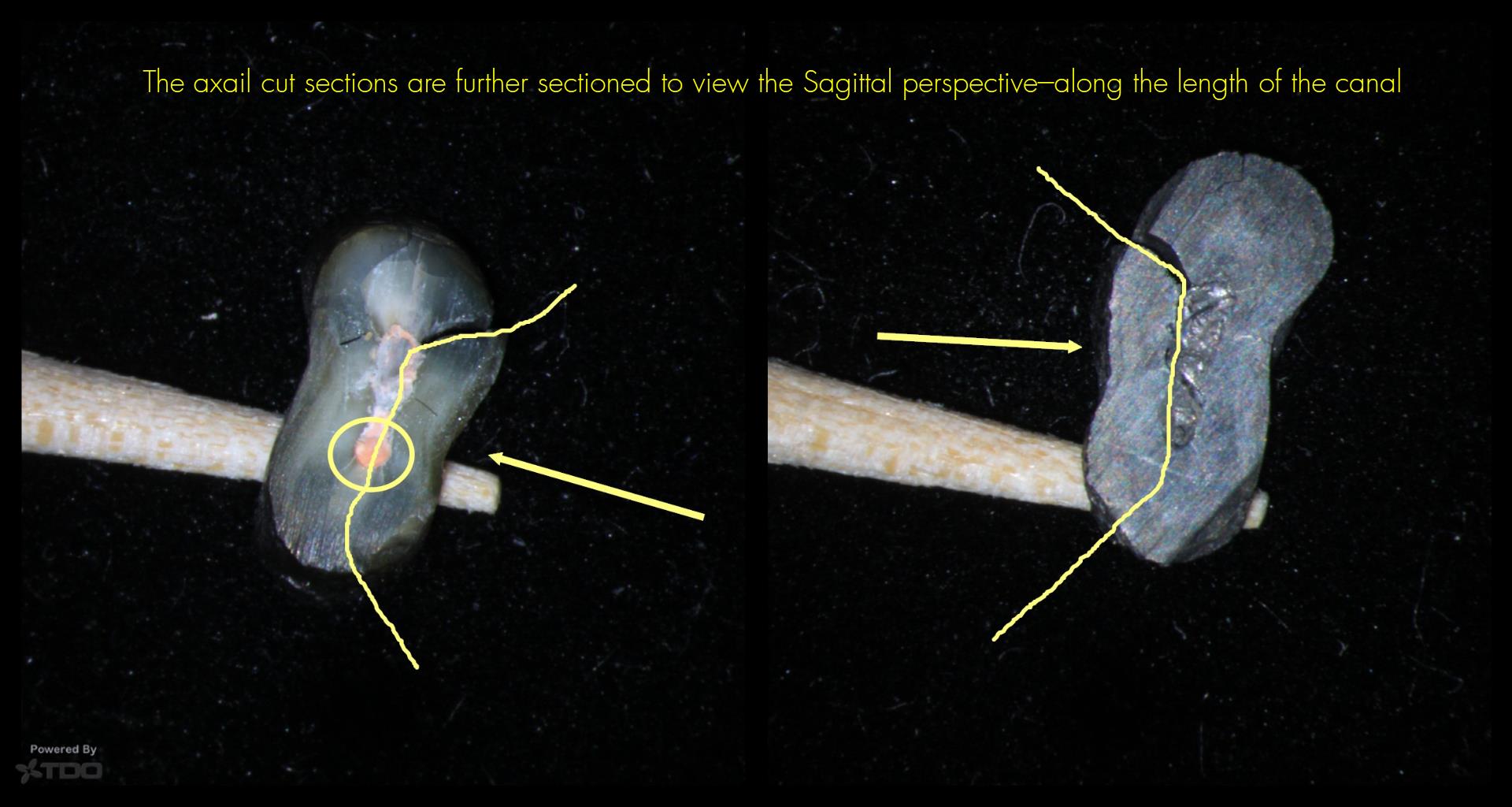 Collage-2140644120-Page00