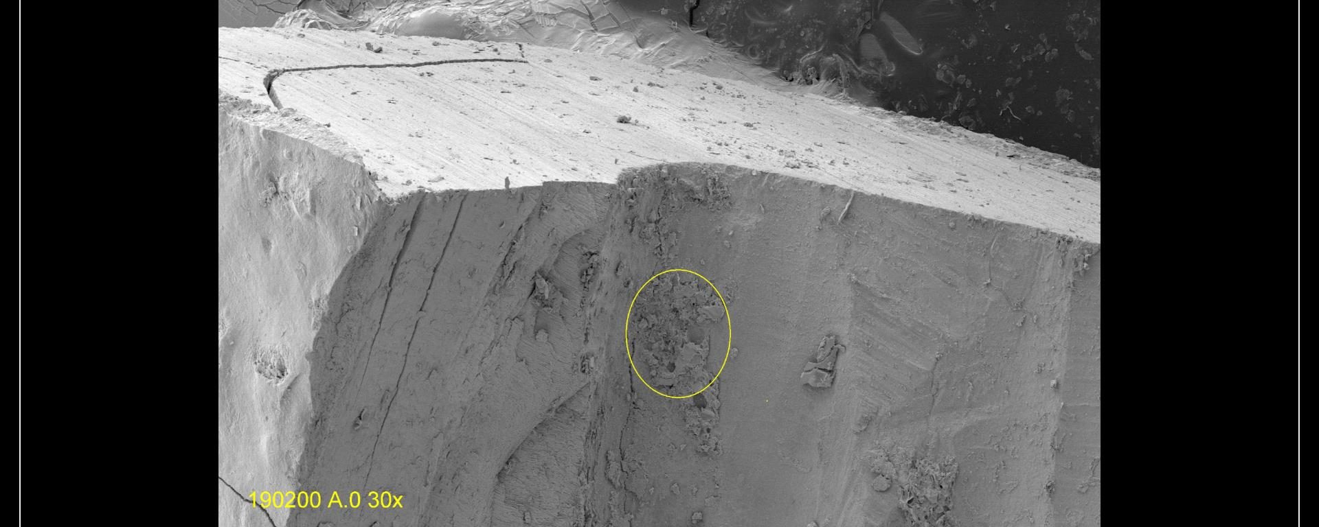 Thoughts on Observing Biofilms Part 3