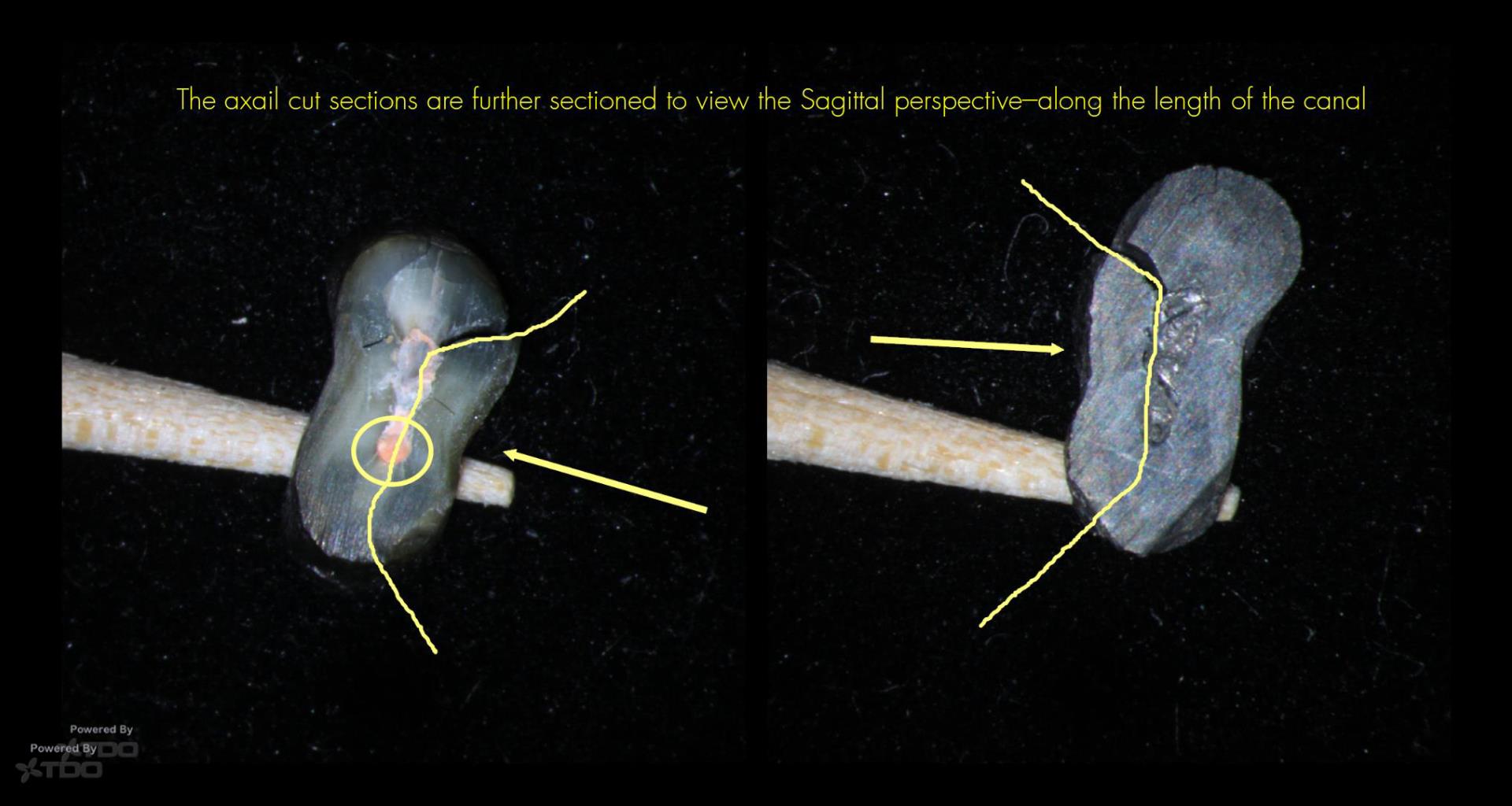 Collage-2140644159-Page00